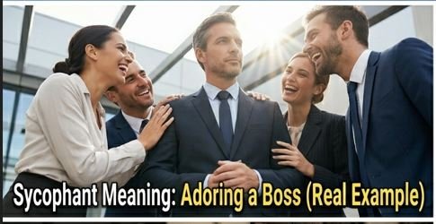 Sycophant Meaning: Definition, Real-Life Examples, Synonyms & Easy Explanation